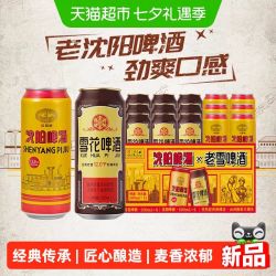 雪花 啤酒沈阳老雪500ml*9听+沈阳啤酒500ml*6听经典传承麦香浓郁