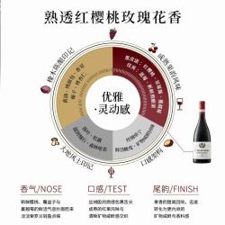 菲特瓦 法国原瓶进口红酒勃艮第丘AOP级黑皮诺干红葡萄酒热红酒送礼