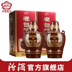 汾酒 山西杏花村酒 42度经典10老白汾450ml*2瓶清香型白酒