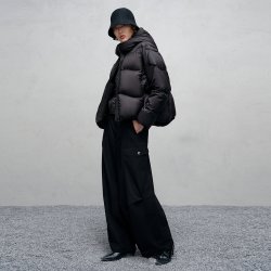 尹默 商场同款 IMM尹默冬优雅复古风90白鹅绒连帽短羽绒服 IAFD03303