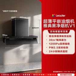 Leader 海尔出品统帅V1G顶侧一体燃气灶一套大吸力家用厨房变频烟灶套装