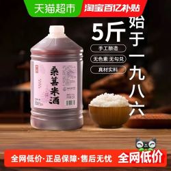 浙一家 鲜浊米酒甜酒酿农家自酿微醺纯手工酿造1桶桑葚米酒2.5L