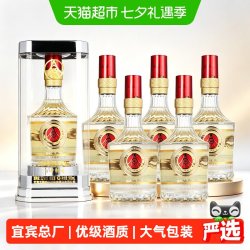 百年传奇 五粮液集团出品百年传奇52度500ml*6瓶马年新款整箱酒水官方自营