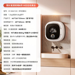 大宇 壁挂式洗衣机小型内衣内裤婴儿宝宝迷你BGX12H