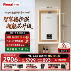 林内 恒温系列 JSQ26-GD31 强排式燃气热水器 13L