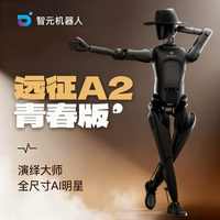 智元机器人 AGIBOT远征A2-青春版 双足具身智能机器人 文娱商演场景 支持群控技能