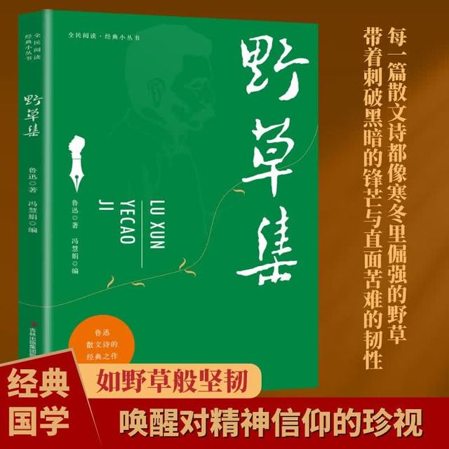 全民阅读经典小丛书 野草集 精读新版 国学传统文化经典精粹近代文学诗词鲁迅诗词散文集