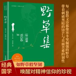 全民阅读经典小丛书 野草集 精读新版 国学传统文化经典精粹近代文学诗词鲁迅诗词散文集