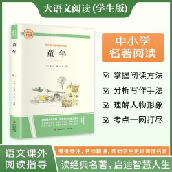 童年·大语文阅读学生版中小学名著阅读语文课外阅读指导儿童青少版注释解读插图版