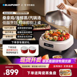 蓝宝 BLAUPUNKT）电蒸锅0涂层全不锈钢多功能锅