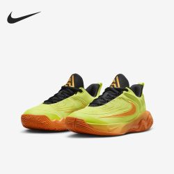 NIKE 官方正品新款儿童缓震耐磨低帮时尚篮球鞋FZ6734-301