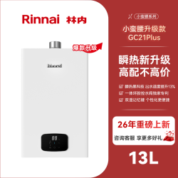 林内 JSQ31-GC21Plus 燃气热水器