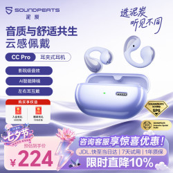 泥炭 CC Pro 双磁大动圈 云烟紫 开放式耳机