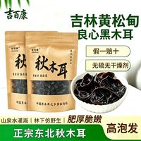 吉百康 正宗东北黑木耳长白山小碗耳干货特产优质凉拌特厚椴木秋耳非特级