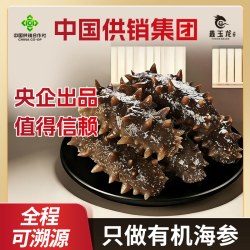 鑫玉龙 xinyulong 鑫玉龙 大连即食海参 11-14只 500g