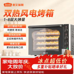 新艾瑞斯 EC01C双热风电烤箱家用商用风炉平炉二合一私房烘焙专用烤箱大容量四层同烤68升 EC01C