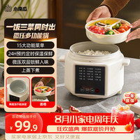 小南瓜 电饭煲 小型1-2-3人家用智能电饭锅低糖饭米汤分离多功能微压锅迷你电煮锅不粘煮粥煮饭锅202