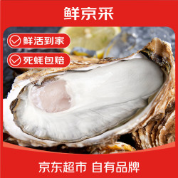 鲜京采 源头直发 鲜活生蚝