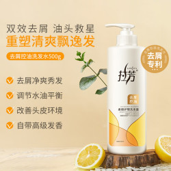 拉芳 去屑控油 洗发水  500g