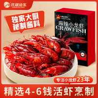 德炎龙虾 麻辣小龙虾  麻辣味 900g