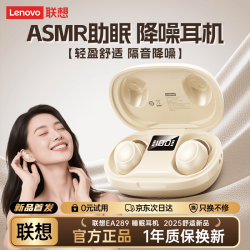 联想 EA289 主动降噪 月岩白 真无线蓝牙耳机