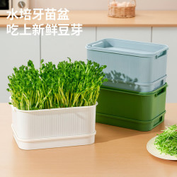 芷郁 豆芽发芽盆育苗盘家用生豆芽机黄绿豆芽罐种植豌豆苗神器白色单层