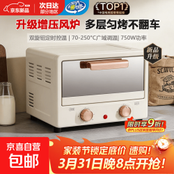 电烤箱家用专业烘焙  15L 双旋钮定时控温 一年质保
