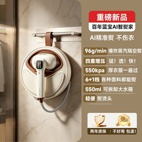 BLAUPUNKT 百年德国蓝宝挂烫机家用小型全自动新款手持增压蒸汽电熨斗烫衣服
