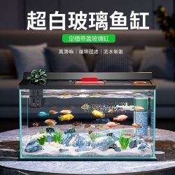 阔庭 金晶超白玻璃鱼缸