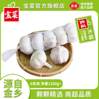 宝菜 紫皮蒜头 6条装(30头 单果约5.0cm 净重1200g+)