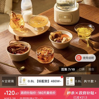 CLARA 可莱迷你养生壶 0.8L
