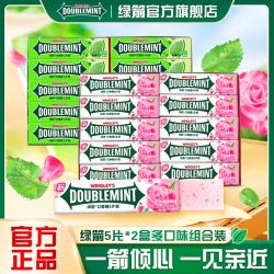 绿箭 口香糖5片20条装2盒装炫凉玫瑰薄荷原味清新口气随身零食糖果