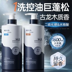 Vetes 商超断货王男士洗发水控油止痒清爽蓬松去屑持久留香维特丝洗头露