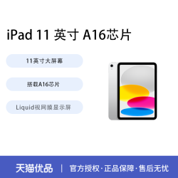 Apple iPad 2025款 11英寸 平板电脑