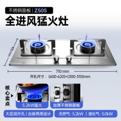 创维 JZT-Z217G 5.2kW天然气双灶燃气灶