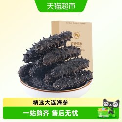 宫壹 大连 淡干海参 50g
