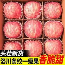 尧坝 陕西洛川苹果水果新鲜当季整箱红富士冰糖心特级脆甜10斤