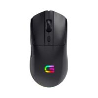 戴记严选 戴尔 戴记严选 GM3324DPro 无线双模 鼠标 黑色