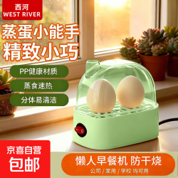 煮蛋器蒸蛋器电蒸锅小型炖蒸煮一体小蒸锅煎蛋锅小型蒸煮鸡蛋神器家用宿舍电煎锅小电器】