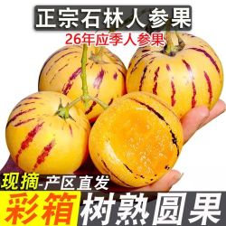 百农之舟 云南石林人参果黄心黄肉圆果超甜应季新鲜水果批发价包邮
