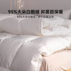 8H Y1C 白鹅绒抗菌被