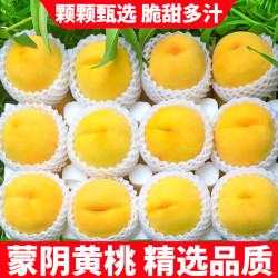 粤迎 山东蒙阴黄桃新鲜时令桃子现摘黄金黄毛桃桃子水果高山黄桃生鲜 5斤精选果净4.5斤