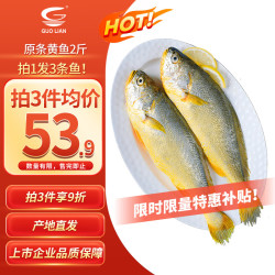 国联 东海原装黄鱼1kg 三条装 烧烤食材 自营海鲜水产