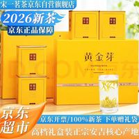 宋一 茶叶礼盒安吉白茶黄金芽绿茶特级2026新茶头采250g