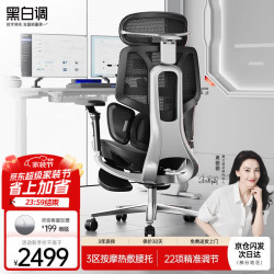 黑白调 E3Pro+ 智能按摩加热腰托 人体工学椅