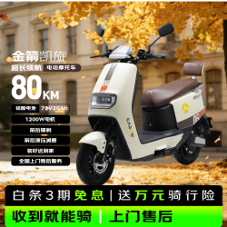 金箭 大功率 电动摩托车