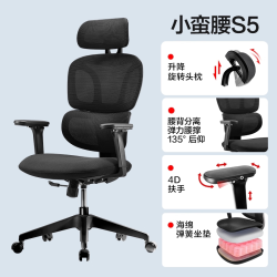 网易严选 S2 人体工学电脑椅 升降扶手款