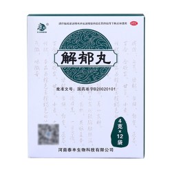 康祺 解郁丸  4g*9袋x2盒