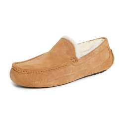 UGG 男性 Ascot 拖鞋 Chestnut 尺码10