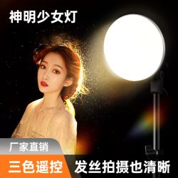 升辉 发丝灯神明少女led摄影灯拍照补光灯调光小型